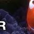 Finding Nemo 3D Official Trailer 1 2012 Pixar Movie HD