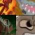 Defeats Of My Favorite Cartoon Villains Part 4