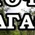 Eastern Madagascar Part 1 VOIMMA Reserve Rainforests And Hordes Of Lemurs