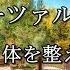 活脳クラシック モーツァルト 心と体を整える 愛の周波数528hz DNA Repair 睡眠 作業用BGM