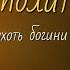 Ипполит Античная литература Профессор Жаринов гнев афродиты