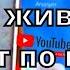 Зачем животные ходят по кругу Активация частот 5G Кружение больших групп животных и насекомых