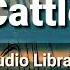 Cattle Telecasted Audio Library Free No Copyright Background Music