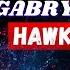 HAWK TUAH GIRL Vs GABRY PONTE Hawk Tuah DJ 491 Underground Remix