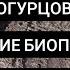 Как правильно вырастить много огурцов Грядки для огурцов