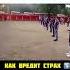 Страх мощная эмоция способная оказать серьезное влияние на поведение и принятие решений