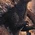 Godzilla In Hell Beam Sound Effect