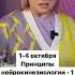 Семинар по нейроэнергетической кинезиологии от австралийского института Светланы Вавиловой