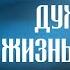 Что есть духовная жизнь и как на нее настроиться Ч1 свт Феофан Затворник