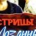 Устрицы из Лозанны Классная Комедия Александр Панкратов Черный Вера Глаголева Владимир Ильин