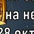 Что с деньгами Финансовый прогноз на неделю с 28 октября по 3 ноября 2024