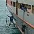 PENUMPANG LONCAT DARI KAPAL KM GREGORIUS Shorts Penumpang Kapal Loncat