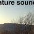 Звуки природы Релакс видео весна Саха Якутия Nature Sounds Spring Sakha Republic