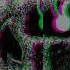 Descent Dethronement 2015 Single