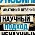 Принцип пуповины Анатомия везения Автор Павел Евдокименко