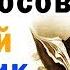 Михаил Ломоносов 1711 1765 русский ученый химик физик художник историк поэт и писатель