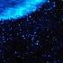 Bioluminescence Noctiluca Scintillans Nature 4K