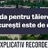 EXPLICATIV RECORDER De Ce Amenda Pentru Tăierea Unui Copac în București E De Doar 25 De Lei