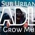 Sub Urban Cradles Free No Copyright YT Grow Music