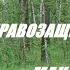 Геннадий Макаров правозащитник юрист блогер