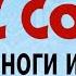 Ноги и суставы сразу перестанут болеть смешайте его с солью перед сном и держите до утра
