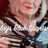 Blue Spanish Eyes Beautiful Accordion Music