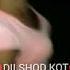 Dilshod Kot