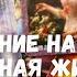 Гадание на Святки Что ждет в любви и личной жизни в ближайшее время Таро прогноз на судьбу