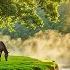 Beautiful Relaxing Music Stop Overthinking Stress Relief Music With Calming Birds Singing