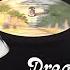 Fleetwood Mac Dreams 1977 HQ Rip Black Vinyl LP