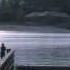 Smith Mountain Lake Beach Properties Presented By Leslie Becker