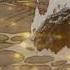 The Smiths Back To The Old House Speed Up Nightcore