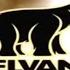 Nelvana Logo Effects 1