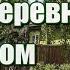 А мы и не скрываем что из деревни родом что бегали по лужам мы в детстве босиком Душевная песня