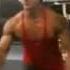 Zyzz Motivation PAIN IS TEMPORARY