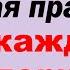 Польский язык Весь В1 Часть 1 Первые 16 уроков из плейлиста В1 с зубрежкой