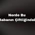 Ali Babanın Çiftliğindekiler