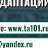 Личностные Адаптации Запись курса 5 вебинаров 3 спикера CTA TSTA 78 слайдов Июль 2020