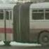 1976г Брянск река Десна ветераны партизаны