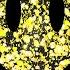 Ultimate Acid Techno Mix 2025 Hypnotic Hard Acid Rave Set