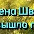 Алена Швец Солнце вышло покурить текст