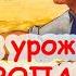 Готовим ГОРШОЧКИ к пикировке РАССАДЫ 2 простых действия ДЛЯ ЗДОРОВЫХ РАСТЕНИЙ