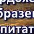 Мардохей образец воспитателя М В Алексеев Беседа Проповедь МСЦ ЕХБ