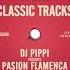 DJ Pippi Pasion Flamenca DJ Gregory Fatal Fatal Parady Dub