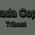 Tribeat Bada Copa Slowed Reverb