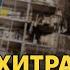 Москвічі ридають від атаки дронів Соловйов верещить за ППО і шукає винних