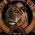 TriStar Pictures Metro Goldwyn Mayer Hyde Park Entertainment 2007