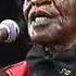 James Brown Glastonbury 2004