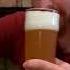 Fuzzy Traveler Peach Shandy Beer Review Travelers Beer