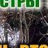 КАК СДЕЛАТЬ ШАЛАШ Убежище зимой Укрытие от снега с костром внутри Зимовье в лесу Бушкрафт